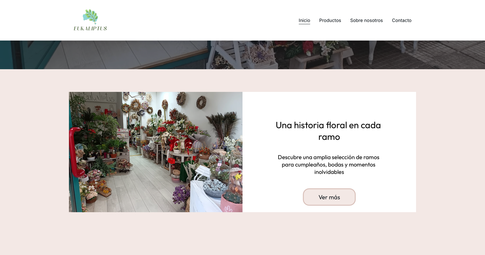 Eukaliptus web dizajn